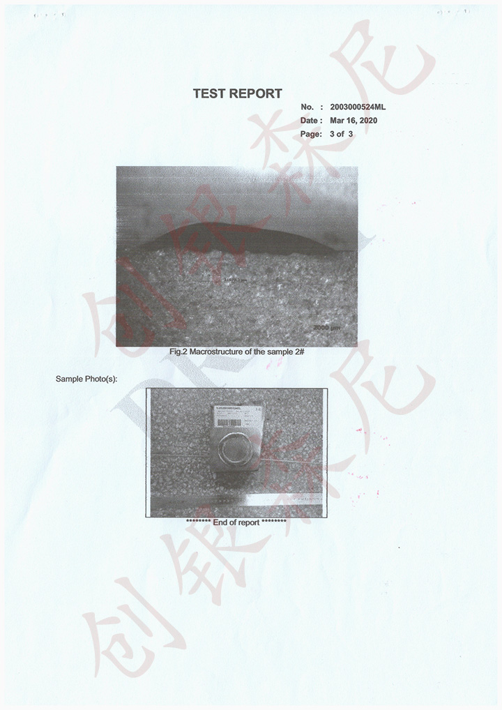 2020年檢測報(bào)告-p2