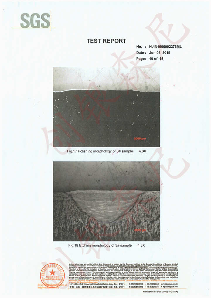 2019年檢測報(bào)告-p3